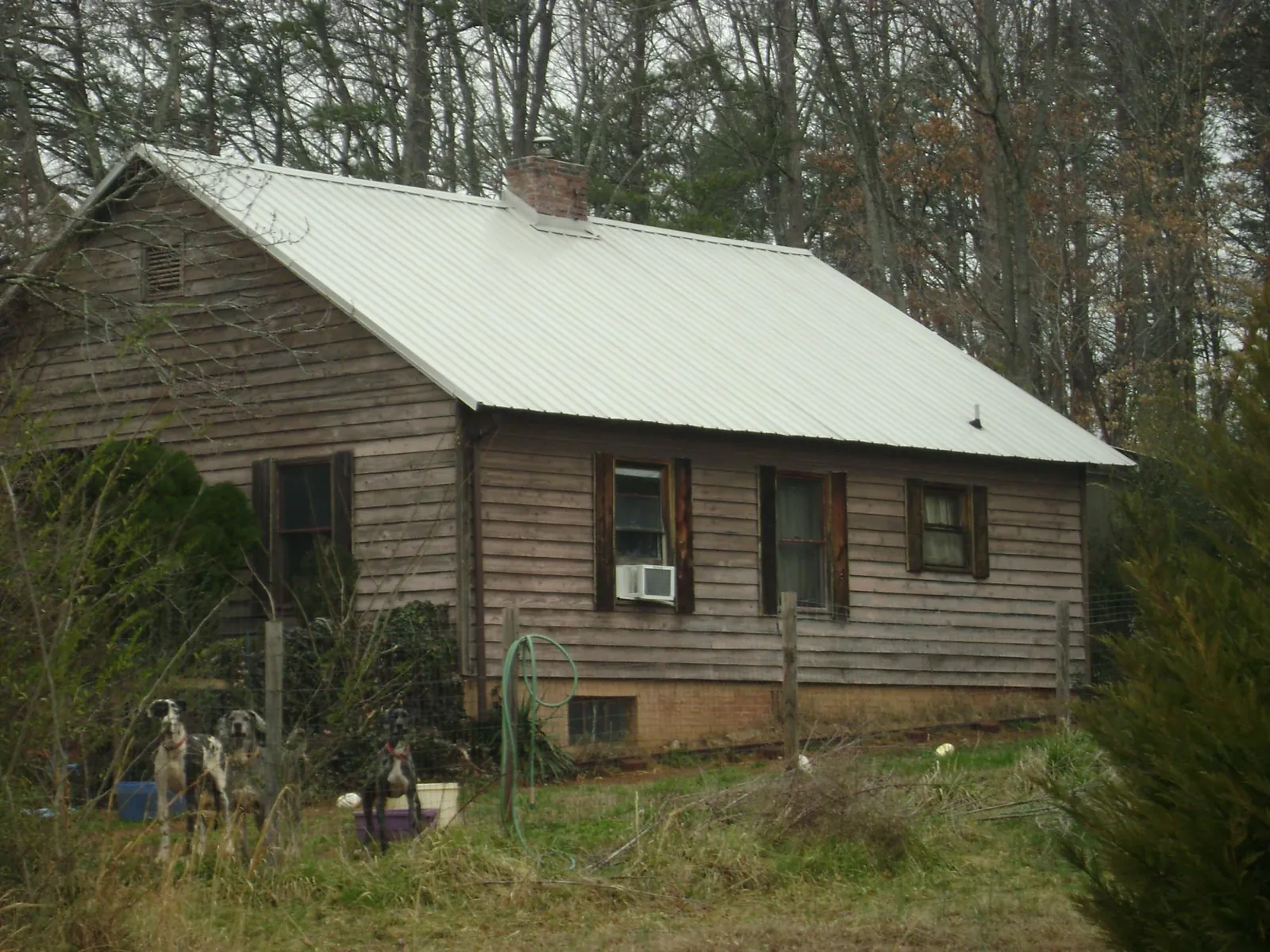 White metal roof on an old wood sided farmhouse, from a Asphalt Shingle Roof Repair job in Palm Coast